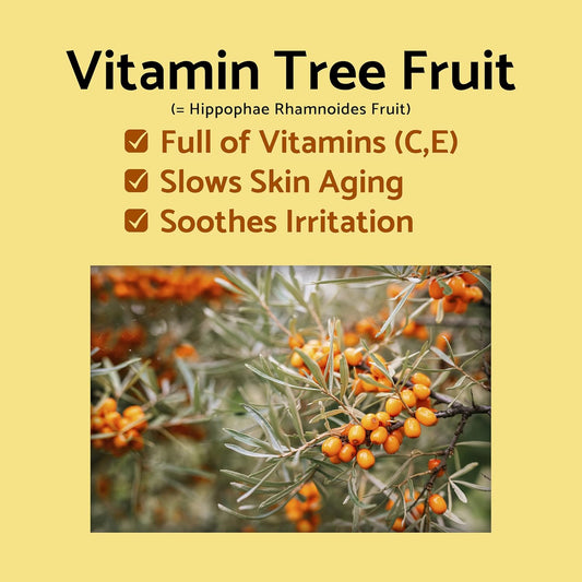 iUNIK Propolis Edition Skincare Set | Coffret Hydratant Protecteur Propoilis