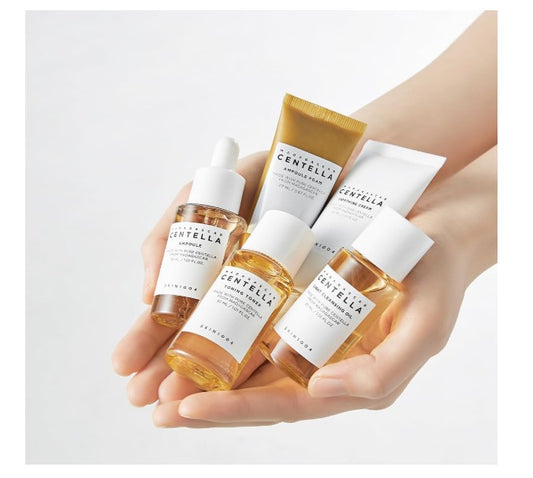 SKIN 1004 Madagascar Centella Travel Kit | Coffret de soins Format Voyage Routine Complete