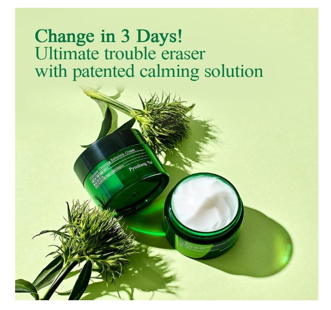 Pyunkang Yul Ultimate Calming Solution Cream | Crème Apaisante Equilibrante