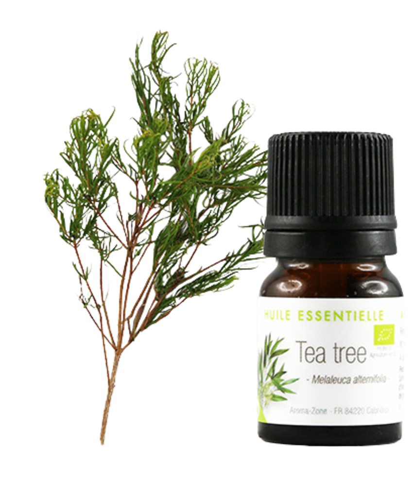 AROMAZONE Huile essentielle Arbre à thé Tea tree BIO